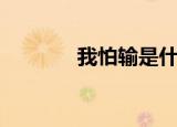 我怕输是什么意思（怕输网）