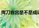 挥刀自宫是不是成语（挥刀自宫是什么意思）