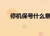 停机保号什么意思（停机保号的解释）