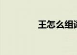 王怎么组词（王怎样组词）