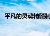 平凡的灵魂精髓制作图（平凡的灵魂精髓）
