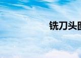 铣刀头图片（铣刀头）