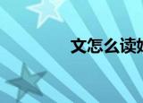 文怎么读姓氏（文怎么读）