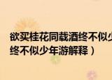 欲买桂花同载酒终不似少年游是什么意思（欲买桂花同载酒终不似少年游解释）