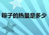 粽子的热量是多少（一个粽子的热量是多少）
