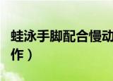 蛙泳手脚配合慢动作口诀（蛙泳手脚配合慢动作）