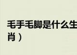 毛手毛脚是什么生肖动物（毛手毛脚是什么生肖）
