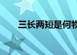三长两短是何物?（三长两短是何物）