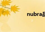 nubra品牌（nu bra）
