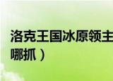 洛克王国冰原领主怎么抓（洛克王国寒冰皇在哪抓）