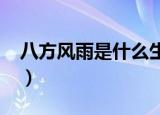 八方风雨是什么生肖?（八方风雨是什么生肖）