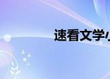 速看文学小说（看看文学）