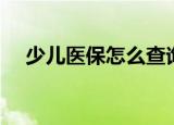 少儿医保怎么查询（少儿医保如何查询）