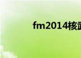 fm2014核武（fm2011核武）