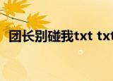 团长别碰我txt txt免费下载（团长别碰我）