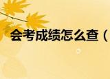 会考成绩怎么查（如何查询高中会考成绩）
