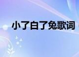 小了白了兔歌词（小了白了兔整首歌词）