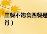 三餐不饱食四餐是什么生肖（三餐不饱打一生肖）