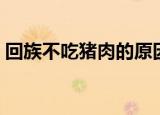 回族不吃猪肉的原因（回族为什么不吃猪肉）