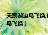 天鹅湖边鸟飞绝,白天相约解相思（天鹅湖边鸟飞绝）