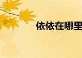 依依在哪里呀（依依怎么抓）