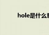 hole是什么意思（hole的释义）
