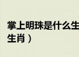 掌上明珠是什么生肖最准确（掌上明珠是什么生肖）