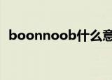 boonnoob什么意思（bonobo什么意思）