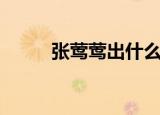 张莺莺出什么装备（张莺莺出装）
