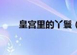 皇宫里的丫鬟（侍寝丫鬟 迷糊皇后）