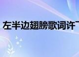 左半边翅膀歌词许飞谱子（左半边翅膀歌词）