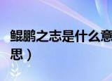 鲲鹏之志是什么意思（词语鲲鹏之志是什么意思）