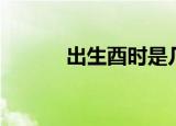 出生酉时是几点（酉时是几点）
