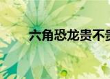 六角恐龙贵不贵（六角恐龙多少钱）
