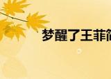 梦醒了王菲简谱（梦醒了王菲）