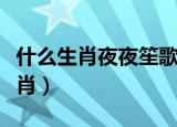 什么生肖夜夜笙歌不睡觉（夜夜笙歌是什么生肖）