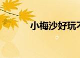 小梅沙好玩不（小梅沙好玩吗）