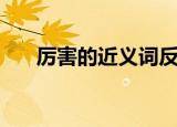 厉害的近义词反义词（厉害的近义词）
