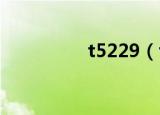 t5229（t52 1 481 31）