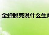 金蝉脱壳说什么生肖（金蝉脱壳是什么生肖）