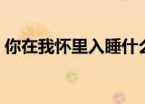 你在我怀里入睡什么意思（你在我怀里入睡）
