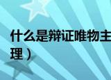 什么是辩证唯物主义（辩证唯物主义的基本原理）
