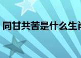 同甘共苦是什么生肖（同甘共苦打一个生肖）