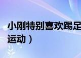 小刚特别喜欢踢足球和排球（小刚很擅长球类运动）