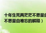 十年生死两茫茫不思量自难忘是什么意思（十年生死两茫茫不思量自难忘的解释）