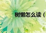 树懒怎么读（树懒的天敌是什么）