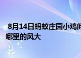  8月14日蚂蚁庄园小鸡问题：空旷的地面上和高楼之间 一般哪里的风大