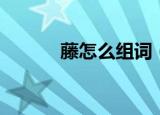 藤怎么组词（藤字注音及解释）
