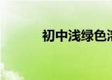 初中浅绿色溶液（浅绿色溶液）
