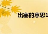 出塞的意思10字（出塞的意思）